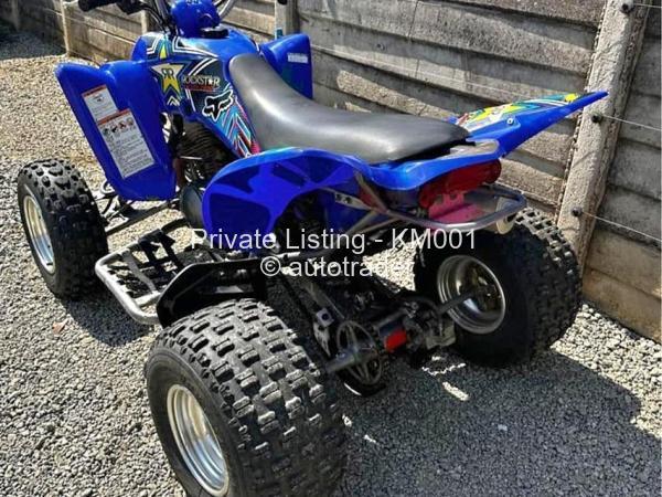 2013 - Yamaha Baby Raptor