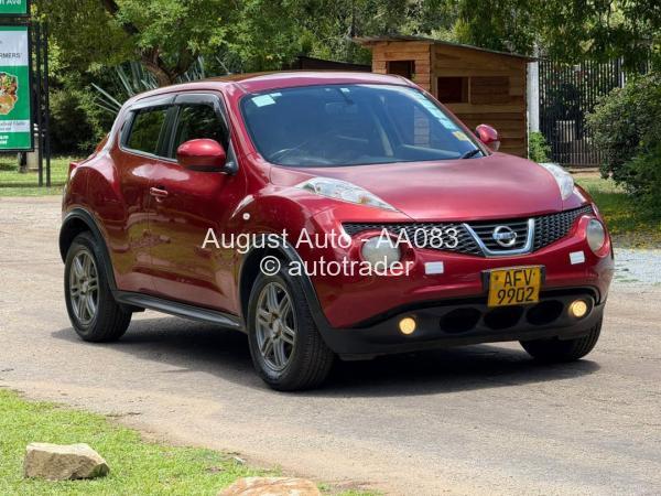 2013 - Nissan  Juke