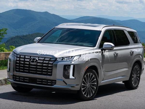 2025 - Hyundai  Palisade Elite