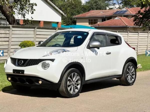 2013 - Nissan  Juke