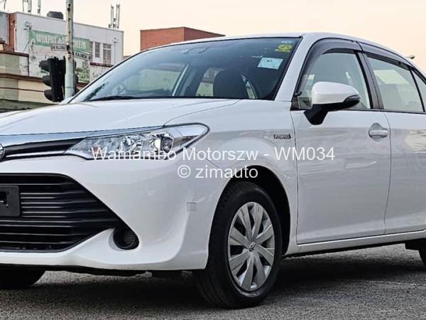 2018 Toyota  Axio